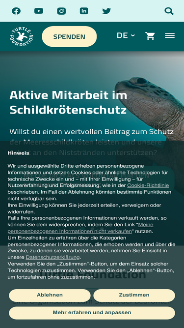 turtle-foundation.org