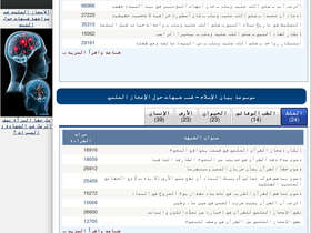 'bayanelislam.net' screenshot