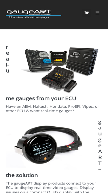 gaugeart.com