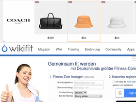 'wikifit.de' screenshot