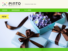 'pinto.style' screenshot