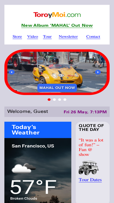 toroymoi.com