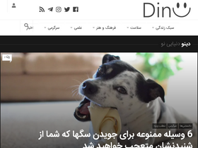 'dinu.ir' screenshot