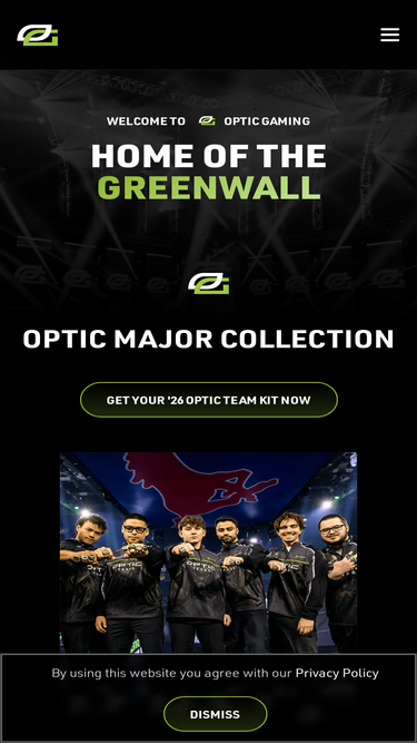 teamenvyus.com