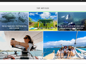 'thesaltsirens.com' screenshot