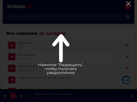 'zormedia.net' screenshot