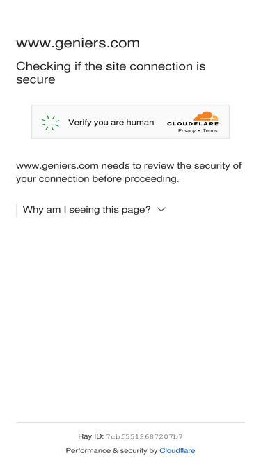 geniers.com