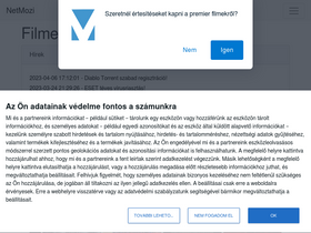 'netmozi.com' screenshot