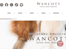 'wancott.com' screenshot