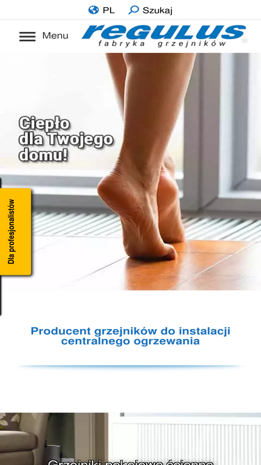 regulus.com.pl