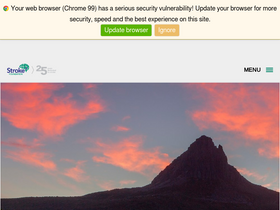 'strokefoundation.org.au' screenshot