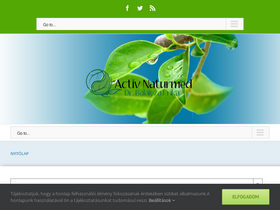 'balaicza.hu' screenshot