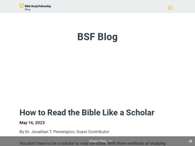 'bsfblog.org' screenshot