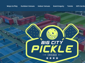 chicagocitypickle.com