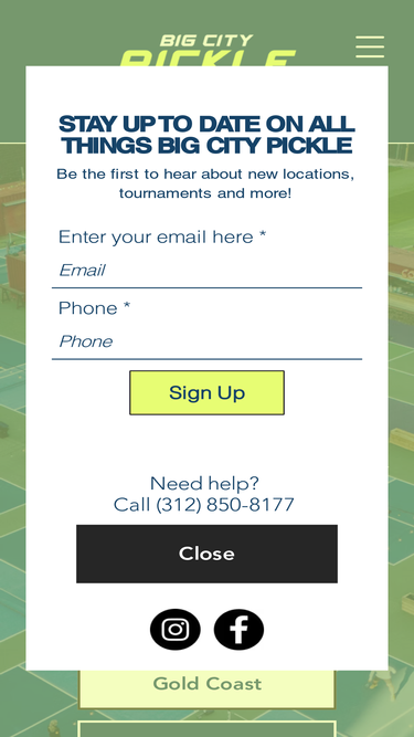 chicagocitypickle.com