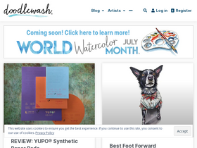 'doodlewash.com' screenshot