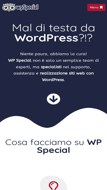 wpspecial.com