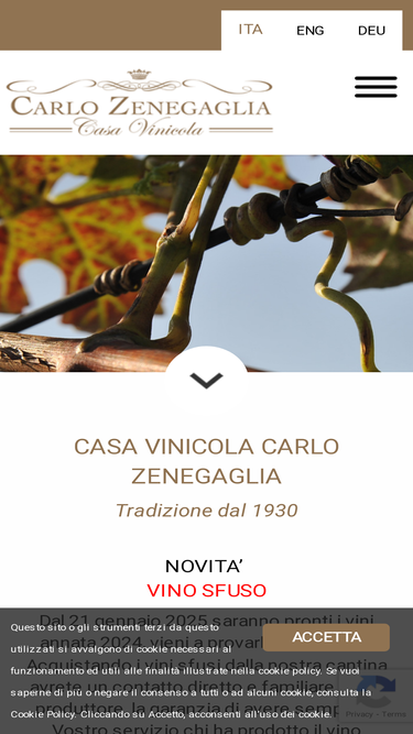 carlozenegaglia.com