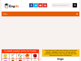 'engdic.org' screenshot