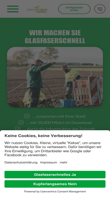 greenfiber.de