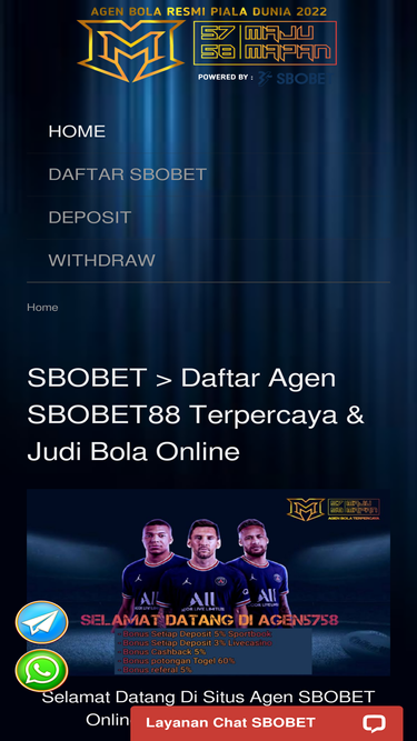 fishfinder-store.com