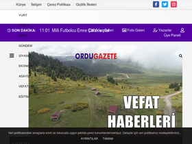'ordugazete.com' screenshot