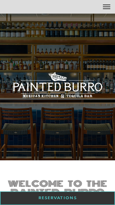 thepaintedburro.com