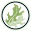 oakorchardhealth.org