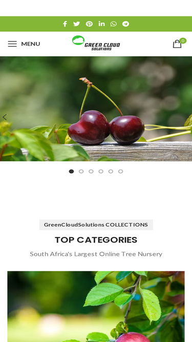 greencloudsolutions.co.za