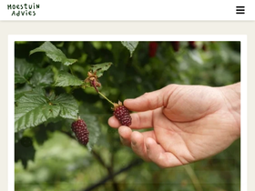 moestuinadvies.nl