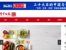 'lifetimes.cn' screenshot