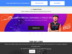 'lordgunbicycles.com' screenshot