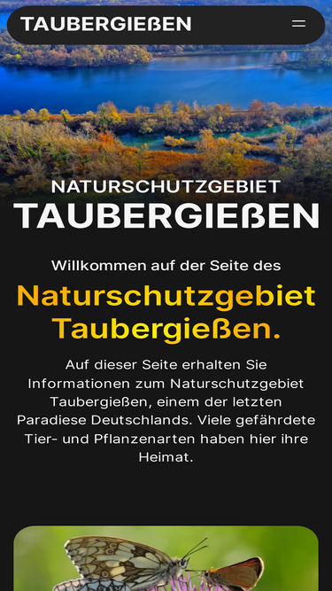 taubergiessen.com