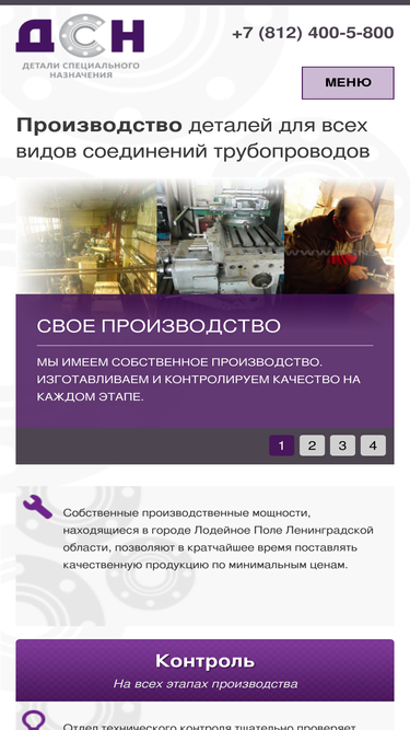 dsnspb.ru