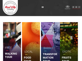 'realcitytours.com' screenshot