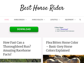 'besthorserider.com' screenshot