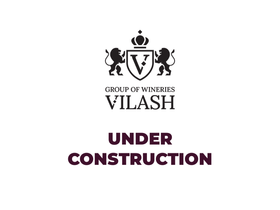 vilashwine.com