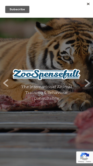 zoospensefull.com