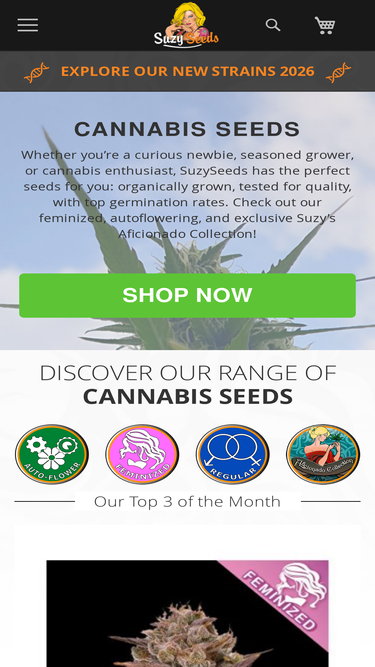 dementia.nl