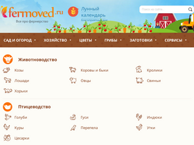 fermoved.ru