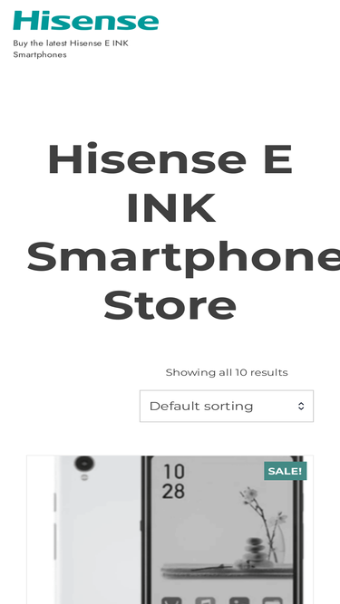 hisenseeink.com