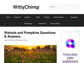 'wittychimp.com' screenshot