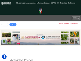'colpos.mx' screenshot