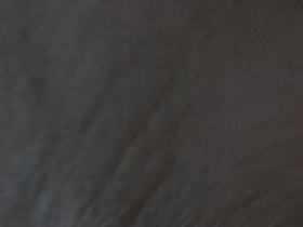 'masterworks.com' screenshot