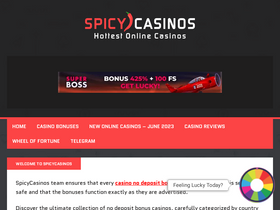'spicycasinos.com' screenshot