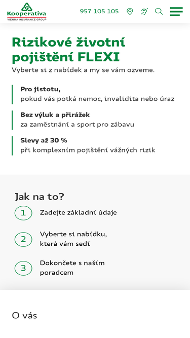 flexi.cz