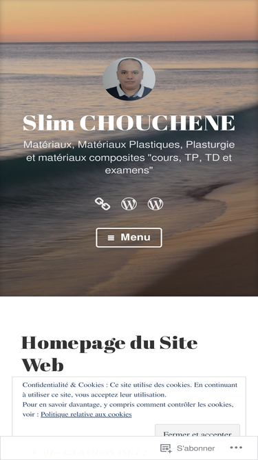 choucheneslim.wordpress.com