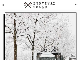 'survivalworld.com' screenshot