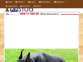 k9stud.com