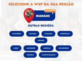 'wsp.net.br' screenshot